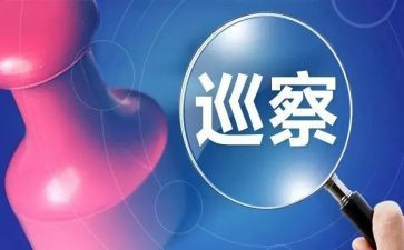 巡查后工作计划5篇
