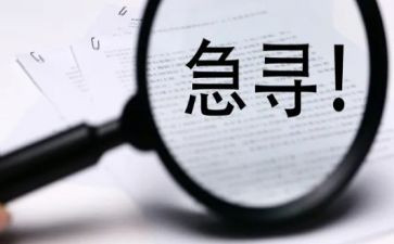 爱寻访作文8篇