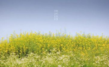 叙事的作文400字模板5篇
