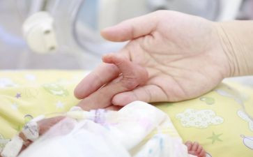 蚕宝宝幼儿园教案6篇