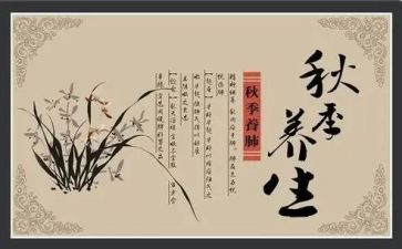 养生活动方案策划7篇