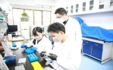 郑研究报告作文6篇
