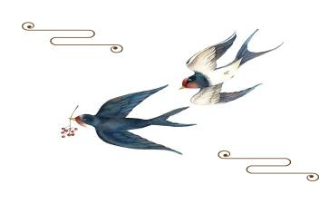 死燕子作文通用7篇