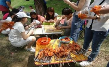 写野炊的作文模板8篇