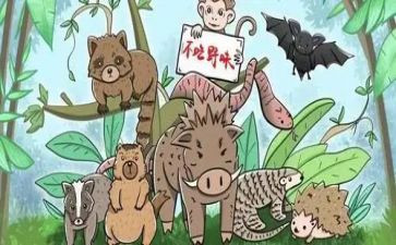 野味的演讲稿模板6篇