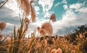 教师义务教育法的心得体会5篇
