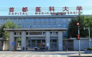 2024年中医科年终总结8篇