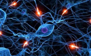 学生环保意识调查报告6篇