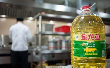 加油宝工作计划7篇
