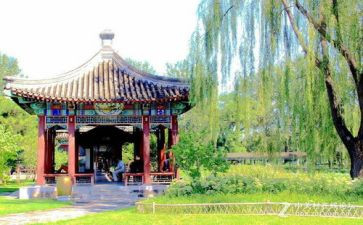 庆六一游园活动总结7篇