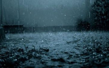 我爱秋天的雨作文600字8篇