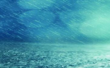 春天的雨的读后感精选5篇