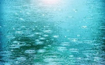 四月的雨作文最新6篇