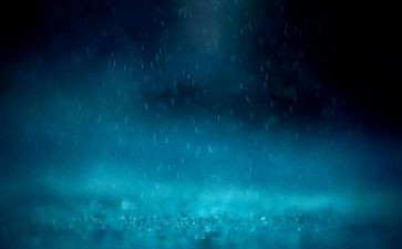 雨中情作文600字初中作文7篇