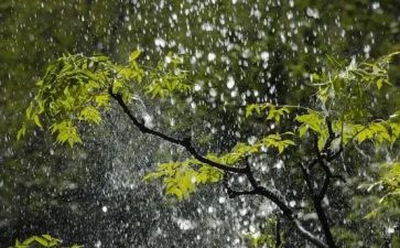 我在哦秋天的雨作文通用5篇