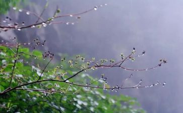 英语雨的作文通用8篇