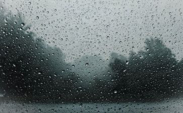 小班语言春天的雨教案6篇