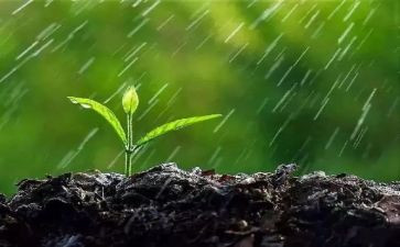 作文春天的雨200字精选5篇