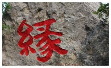 我和结的缘作文500字通用6篇