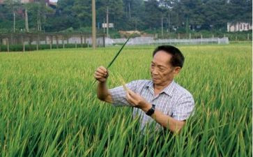 袁隆平演讲稿8篇