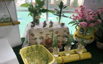 幼儿园培训总心得参考7篇
