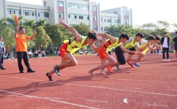 校运会活动总结8篇