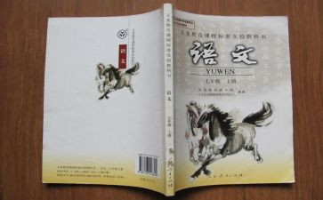 小六语文下册教学总结通用5篇