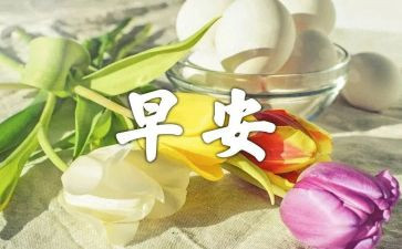 早教班的个人总结6篇