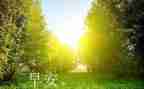 以早为话题的作文800字8篇