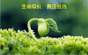 经济责任审计股工作总结7篇