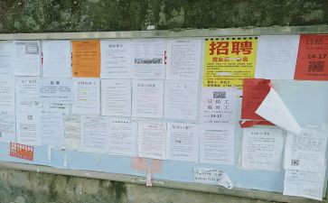 学校招工作计划模板6篇