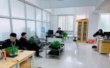 招就处工作述职报告优质5篇