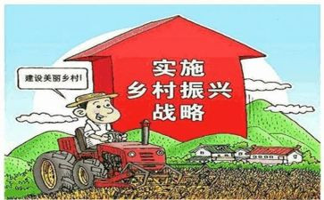 乡村振兴干部心得体会8篇