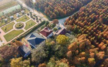 市域社会治理现代化治理工作总结6篇