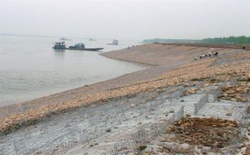 小学治理乱收费自查报告6篇