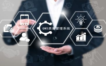 2024年质量工作总结及2024年工作计划6篇