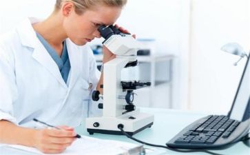 质量上半年工作总结8篇