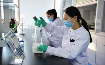 质量安全自查报告参考8篇