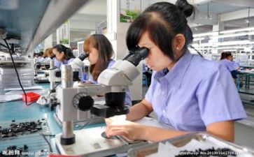 质量工作计划模板8篇