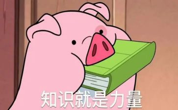 心理知识活动总结6篇