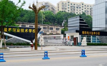 职中学生个人总结6篇