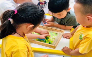 幼儿园中班厚与薄教案推荐7篇