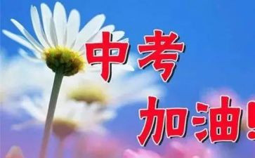 中考教学月工作总结7篇