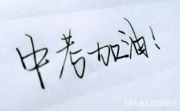 中考没作文精选8篇