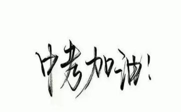 中考没作文通用6篇