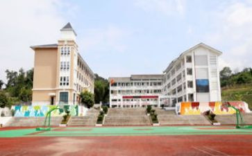 中心校副校长述职报告6篇