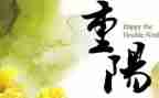 幼儿园重阳节活动总结反思8篇
