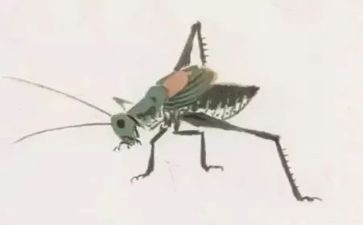 蚂蚁与蝈蝈教案7篇