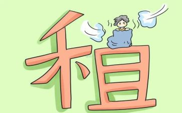转租租房合同5篇
