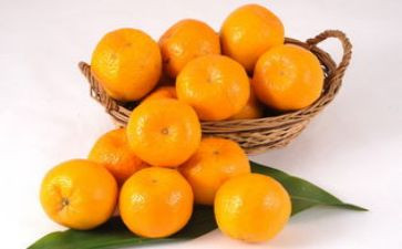 《橘子味的夏天》读后感7篇